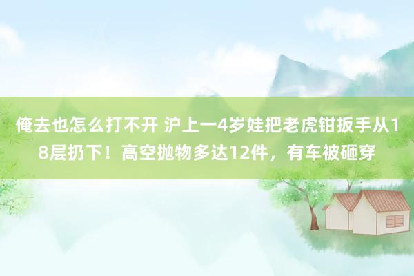 俺去也怎么打不开 沪上一4岁娃把老虎钳扳手从18层扔下！高空抛物多达12件，有车被砸穿