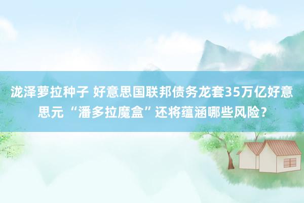 泷泽萝拉种子 好意思国联邦债务龙套35万亿好意思元 “潘多拉魔盒”还将蕴涵哪些风险？