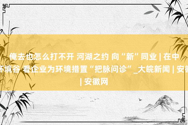 俺去也怎么打不开 河湖之约 向“新”同业 | 在中国环境谷 看企业为环境措置“把脉问诊”_大皖新闻 | 安徽网