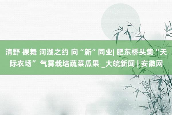 清野 裸舞 河湖之约 向“新”同业| 肥东桥头集“天际农场” 气雾栽培蔬菜瓜果 _大皖新闻 | 安徽网