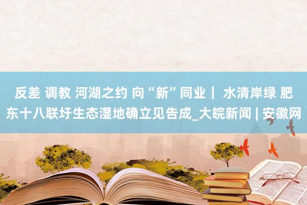 反差 调教 河湖之约 向“新”同业｜ 水清岸绿 肥东十八联圩生态湿地确立见告成_大皖新闻 | 安徽网