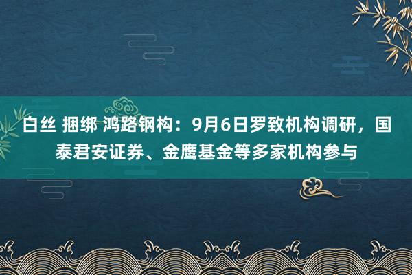 白丝 捆绑 鸿路钢构：9月6日罗致机构调研，国泰君安证券、金鹰基金等多家机构参与