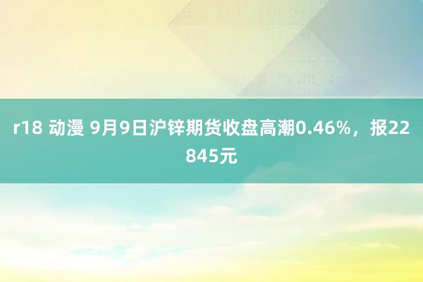 r18 动漫 9月9日沪锌期货收盘高潮0.46%，报22845元