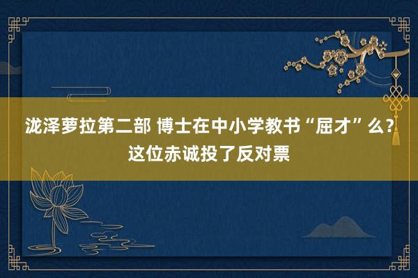 泷泽萝拉第二部 博士在中小学教书“屈才”么？这位赤诚投了反对票