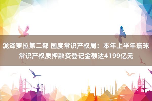 泷泽萝拉第二部 国度常识产权局：本年上半年寰球常识产权质押融资登记金额达4199亿元