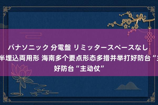 パナソニック 分電盤 リミッタースペースなし 露出・半埋込両用形 海南多个要点形态多措并举打好防台“主动仗”