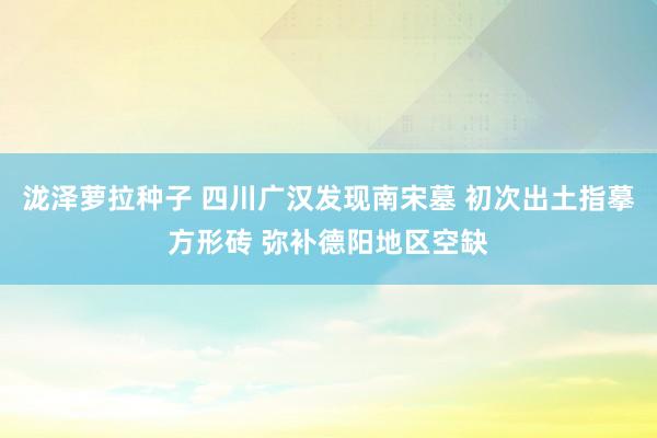 泷泽萝拉种子 四川广汉发现南宋墓 初次出土指摹方形砖 弥补德阳地区空缺