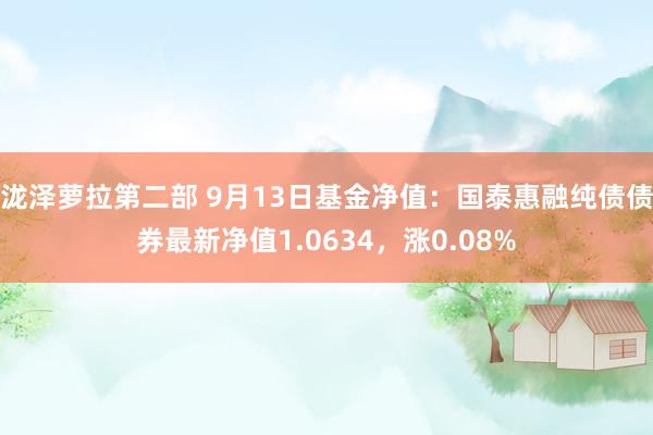 泷泽萝拉第二部 9月13日基金净值：国泰惠融纯债债券最新净值1.0634，涨0.08%