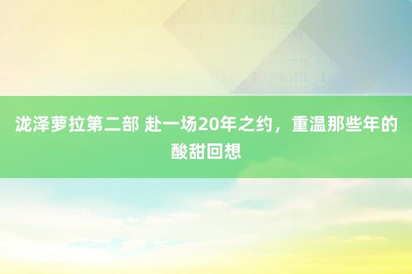 泷泽萝拉第二部 赴一场20年之约，重温那些年的酸甜回想