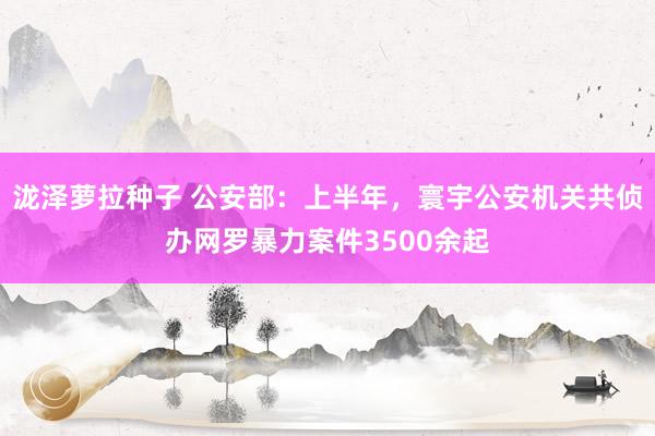 泷泽萝拉种子 公安部：上半年，寰宇公安机关共侦办网罗暴力案件3500余起