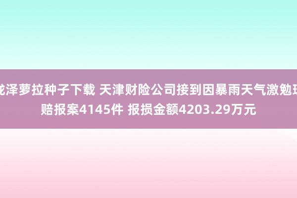 泷泽萝拉种子下载 天津财险公司接到因暴雨天气激勉理赔报案4145件 报损金额4203.29万元