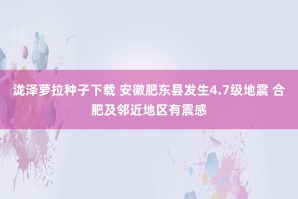 泷泽萝拉种子下载 安徽肥东县发生4.7级地震 合肥及邻近地区有震感