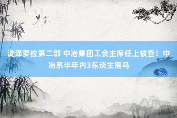 泷泽萝拉第二部 中冶集团工会主席任上被查！中冶系半年内3东谈主落马