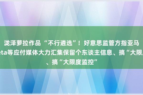 泷泽萝拉作品 “不行遴选”！好意思监管方指亚马逊、Meta等应付媒体大力汇集保留个东谈主信息、搞“大限度监控”