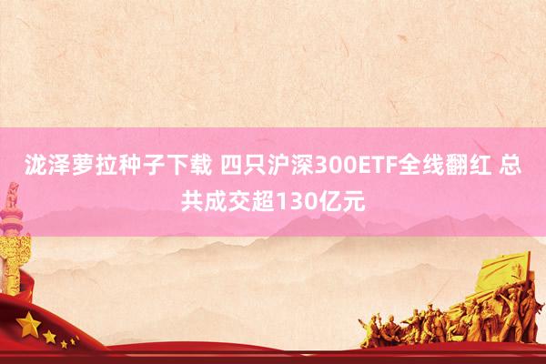 泷泽萝拉种子下载 四只沪深300ETF全线翻红 总共成交超130亿元