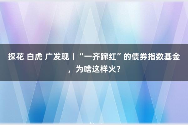 探花 白虎 广发现丨“一齐蹿红”的债券指数基金，为啥这样火？