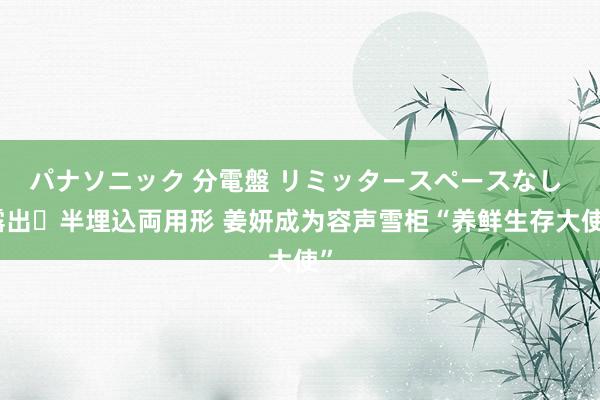 パナソニック 分電盤 リミッタースペースなし 露出・半埋込両用形 姜妍成为容声雪柜“养鲜生存大使”