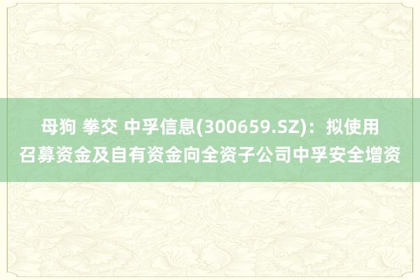 母狗 拳交 中孚信息(300659.SZ)：拟使用召募资金及自有资金向全资子公司中孚安全增资