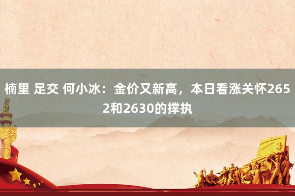 楠里 足交 何小冰：金价又新高，本日看涨关怀2652和2630的撑执