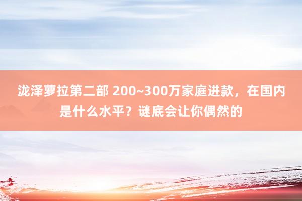 泷泽萝拉第二部 200~300万家庭进款，在国内是什么水平？谜底会让你偶然的