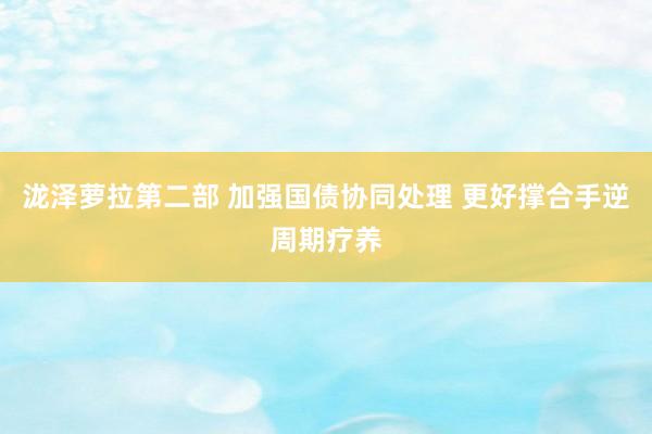 泷泽萝拉第二部 加强国债协同处理 更好撑合手逆周期疗养