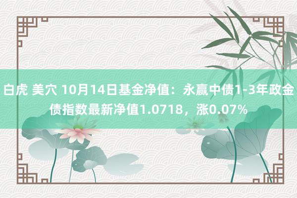 白虎 美穴 10月14日基金净值：永赢中债1-3年政金债指数最新净值1.0718，涨0.07%