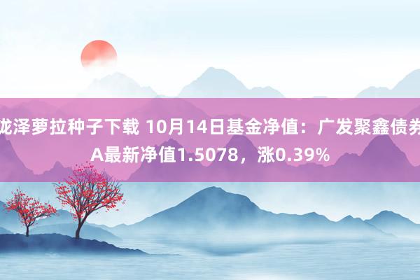 泷泽萝拉种子下载 10月14日基金净值：广发聚鑫债券A最新净值1.5078，涨0.39%