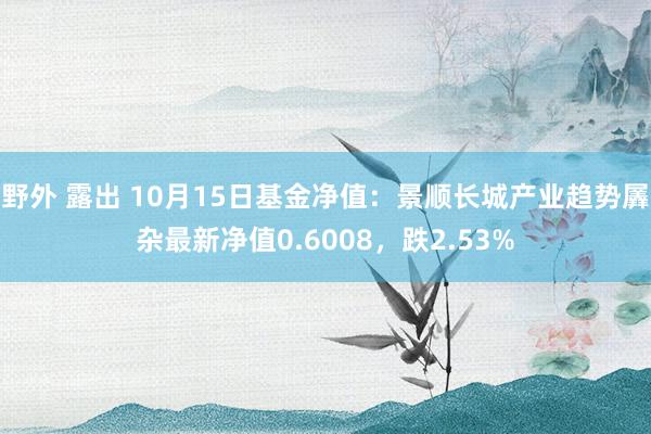 野外 露出 10月15日基金净值：景顺长城产业趋势羼杂最新净值0.6008，跌2.53%