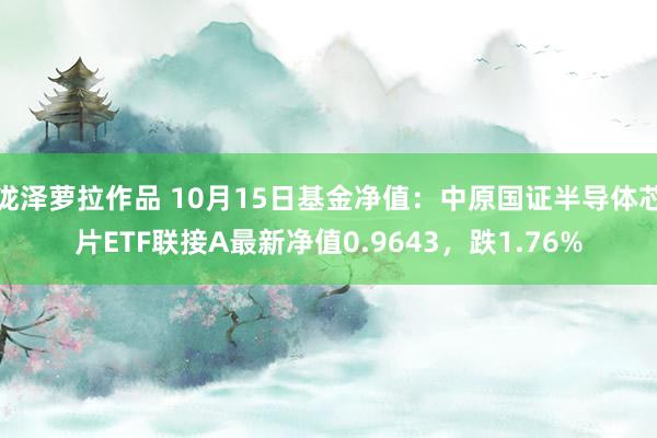 泷泽萝拉作品 10月15日基金净值：中原国证半导体芯片ETF联接A最新净值0.9643，跌1.76%