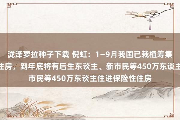 泷泽萝拉种子下载 倪虹：1—9月我国已栽植筹集148万套保险性住房，到年底将有后生东谈主、新市民等450万东谈主住进保险性住房