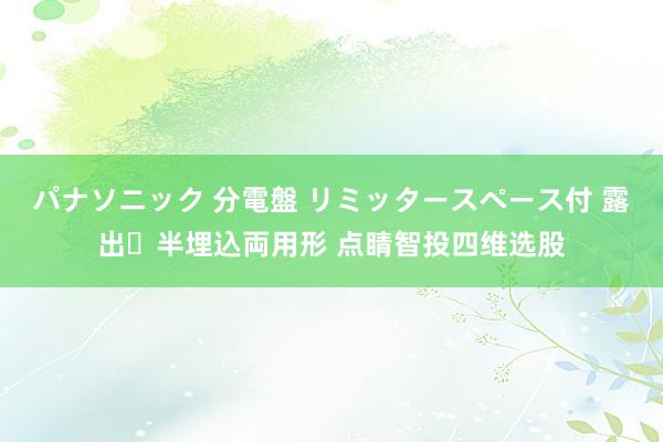 パナソニック 分電盤 リミッタースペース付 露出・半埋込両用形 点睛智投四维选股