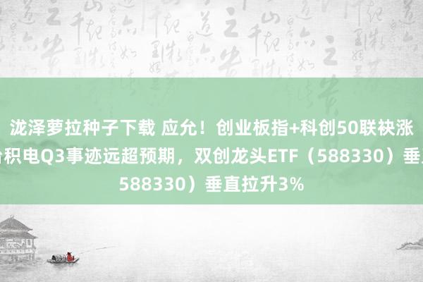 泷泽萝拉种子下载 应允！创业板指+科创50联袂涨超3%，台积电Q3事迹远超预期，双创龙头ETF（588330）垂直拉升3%