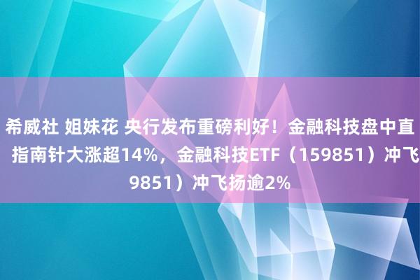 希威社 姐妹花 央行发布重磅利好！金融科技盘中直线拉升，指南针大涨超14%，金融科技ETF（159851）冲飞扬逾2%