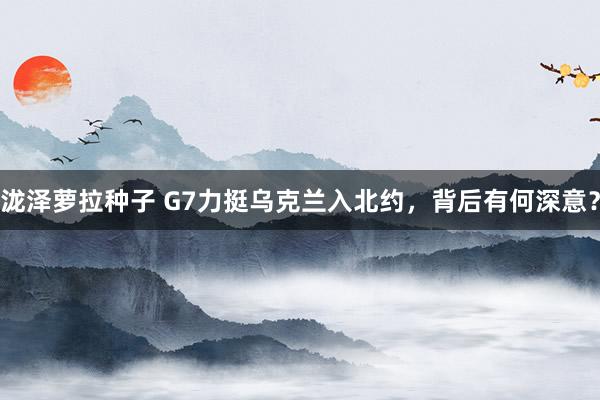 泷泽萝拉种子 G7力挺乌克兰入北约，背后有何深意？