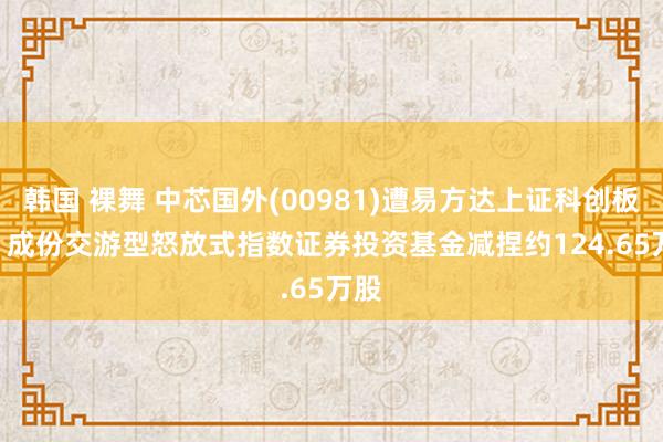 韩国 裸舞 中芯国外(00981)遭易方达上证科创板 50 成份交游型怒放式指数证券投资基金减捏约124.65万股