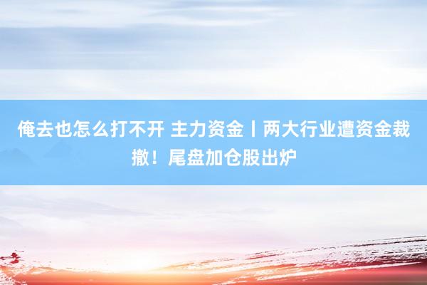 俺去也怎么打不开 主力资金丨两大行业遭资金裁撤！尾盘加仓股出炉