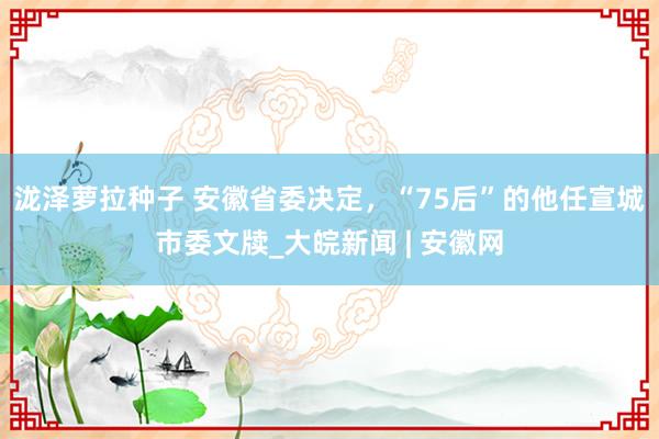 泷泽萝拉种子 安徽省委决定，“75后”的他任宣城市委文牍_大皖新闻 | 安徽网