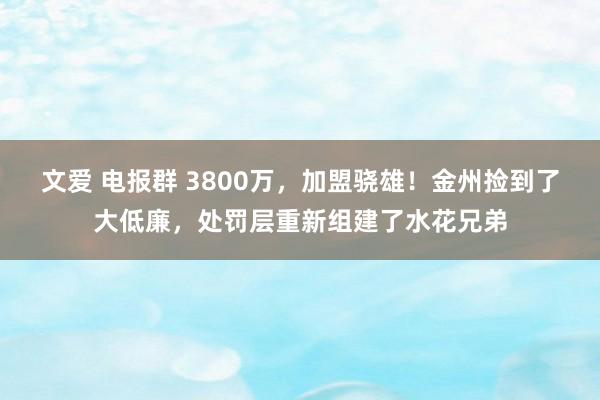 文爱 电报群 3800万，加盟骁雄！金州捡到了大低廉，处罚层重新组建了水花兄弟