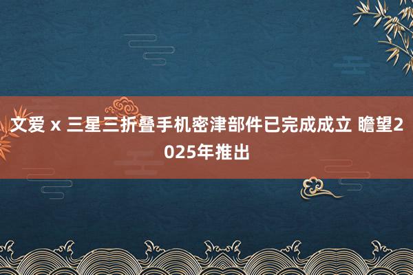 文爱 x 三星三折叠手机密津部件已完成成立 瞻望2025年推出