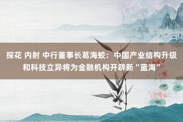 探花 内射 中行董事长葛海蛟：中国产业结构升级和科技立异将为金融机构开辟新“蓝海”