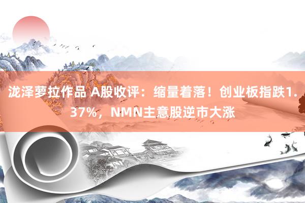 泷泽萝拉作品 A股收评：缩量着落！创业板指跌1.37%，NMN主意股逆市大涨