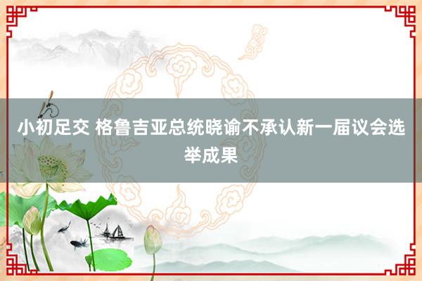 小初足交 格鲁吉亚总统晓谕不承认新一届议会选举成果