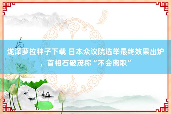 泷泽萝拉种子下载 日本众议院选举最终效果出炉，首相石破茂称“不会离职”