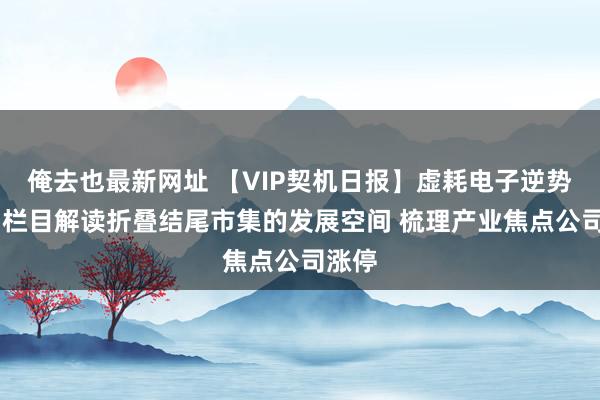 俺去也最新网址 【VIP契机日报】虚耗电子逆势走强 栏目解读折叠结尾市集的发展空间 梳理产业焦点公司涨停