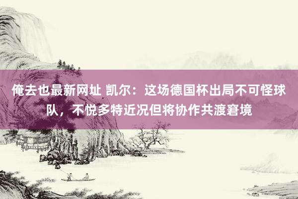 俺去也最新网址 凯尔：这场德国杯出局不可怪球队，不悦多特近况但将协作共渡窘境