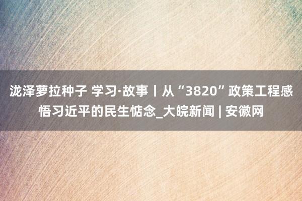 泷泽萝拉种子 学习·故事丨从“3820”政策工程感悟习近平的民生惦念_大皖新闻 | 安徽网