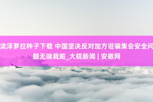 泷泽萝拉种子下载 中国坚决反对加方诳骗集会安全问题无端栽赃_大皖新闻 | 安徽网