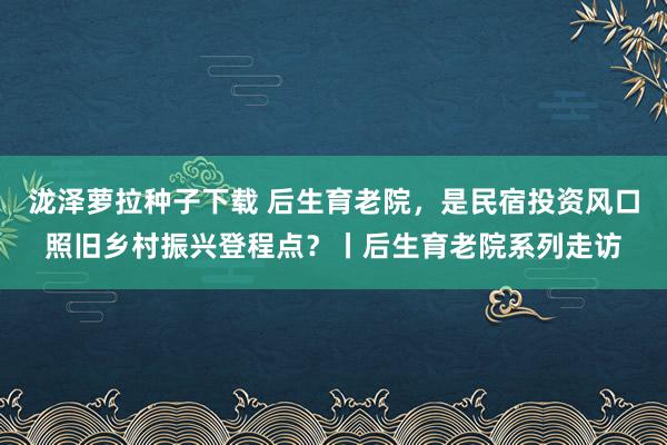 泷泽萝拉种子下载 后生育老院，是民宿投资风口照旧乡村振兴登程点？丨后生育老院系列走访