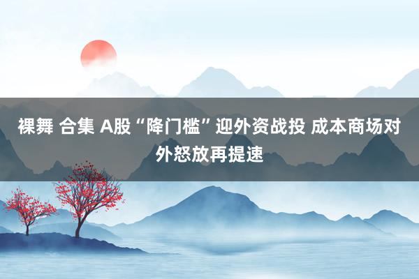 裸舞 合集 A股“降门槛”迎外资战投 成本商场对外怒放再提速