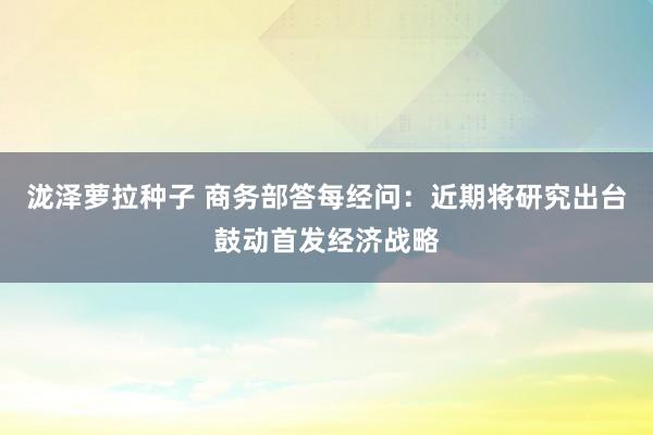 泷泽萝拉种子 商务部答每经问：近期将研究出台鼓动首发经济战略